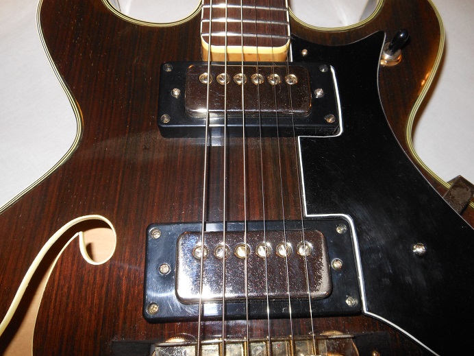 HollowBodyRosewood Picture 13